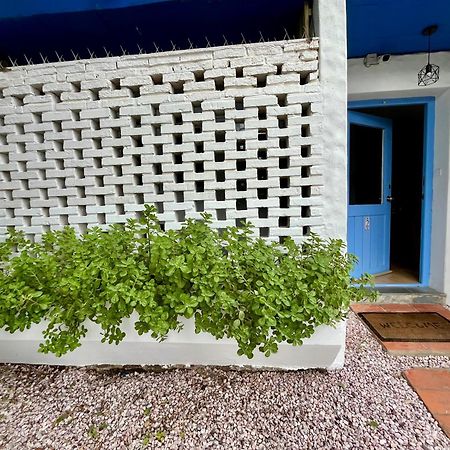Puerta Azul Apartment Пунта дел Есте Екстериор снимка